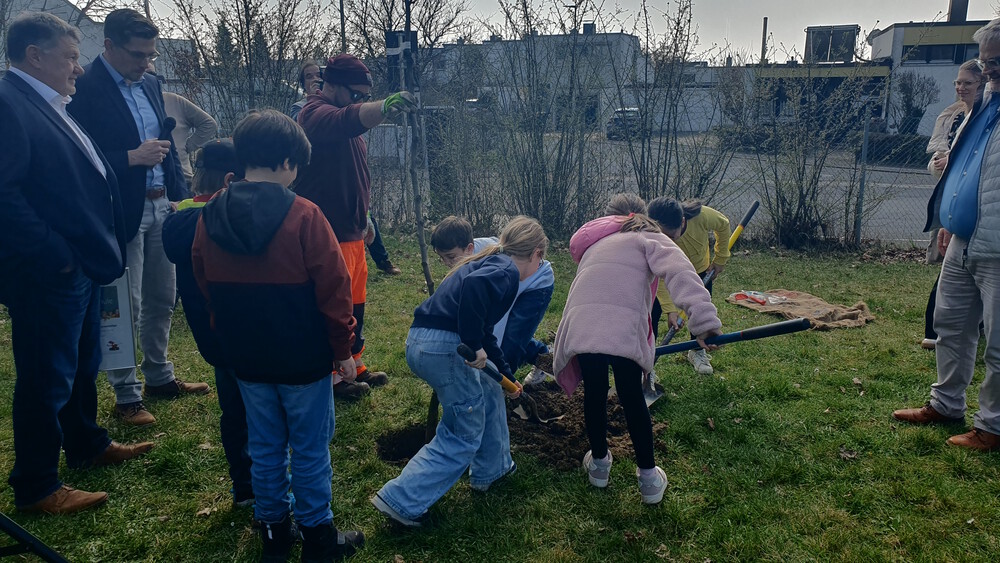 2026 03 20 Baumpflanzchallenge 4